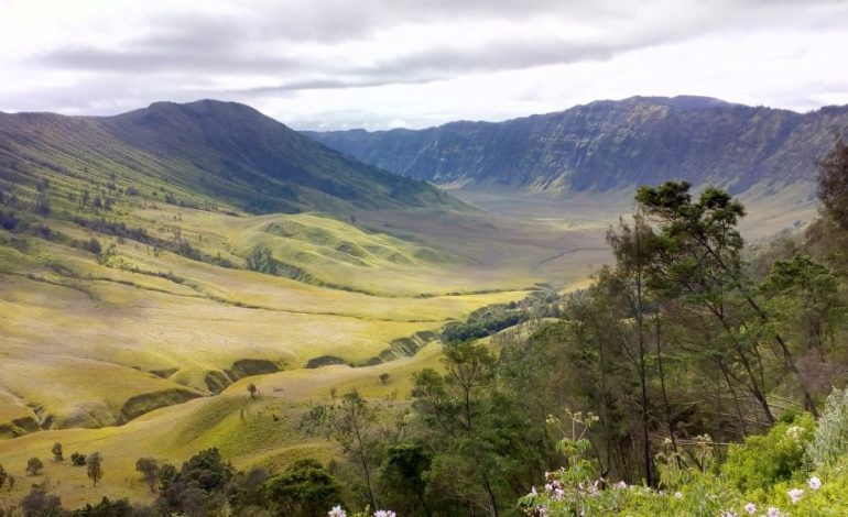 5 Bukit Teletubbies Bromo Indahnya Padang Savana