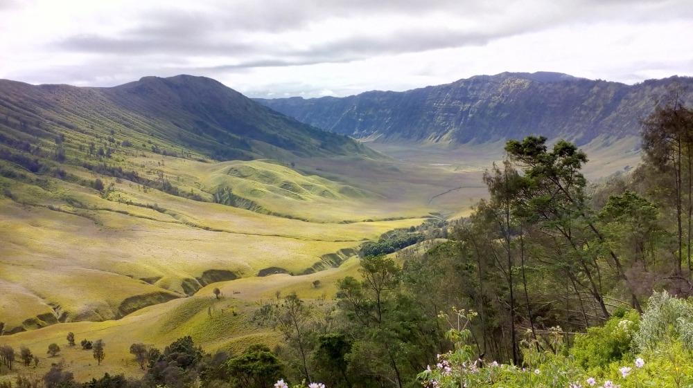 5 Bukit Teletubbies Bromo Indahnya Padang Savana