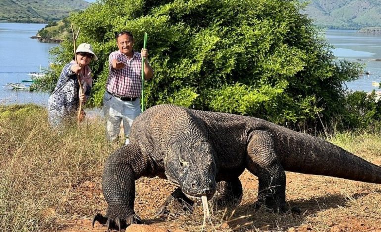 Labuan Bajo & Pulau Komodo Permata Eksotis